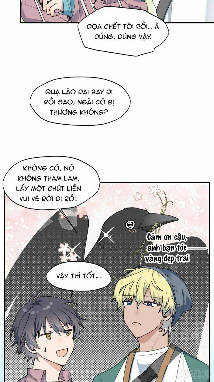 page_15.jpg