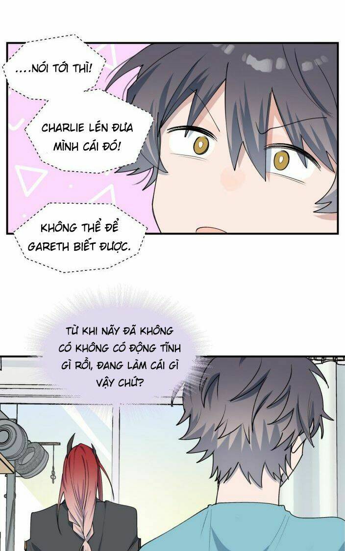 page_21.jpg