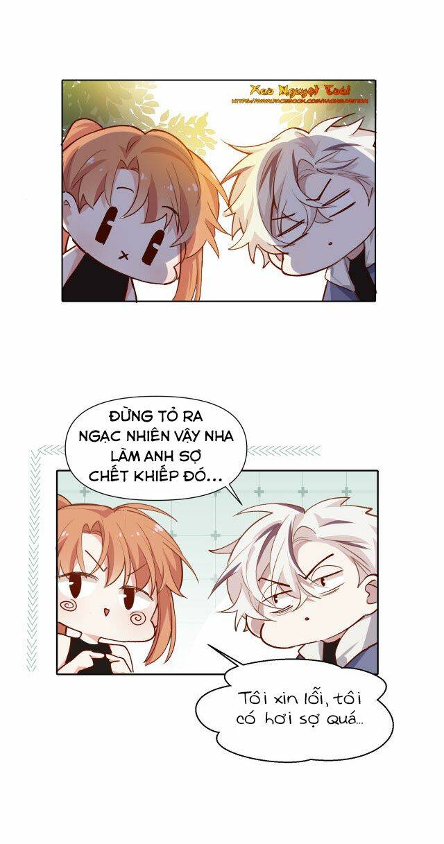 page_21.jpg