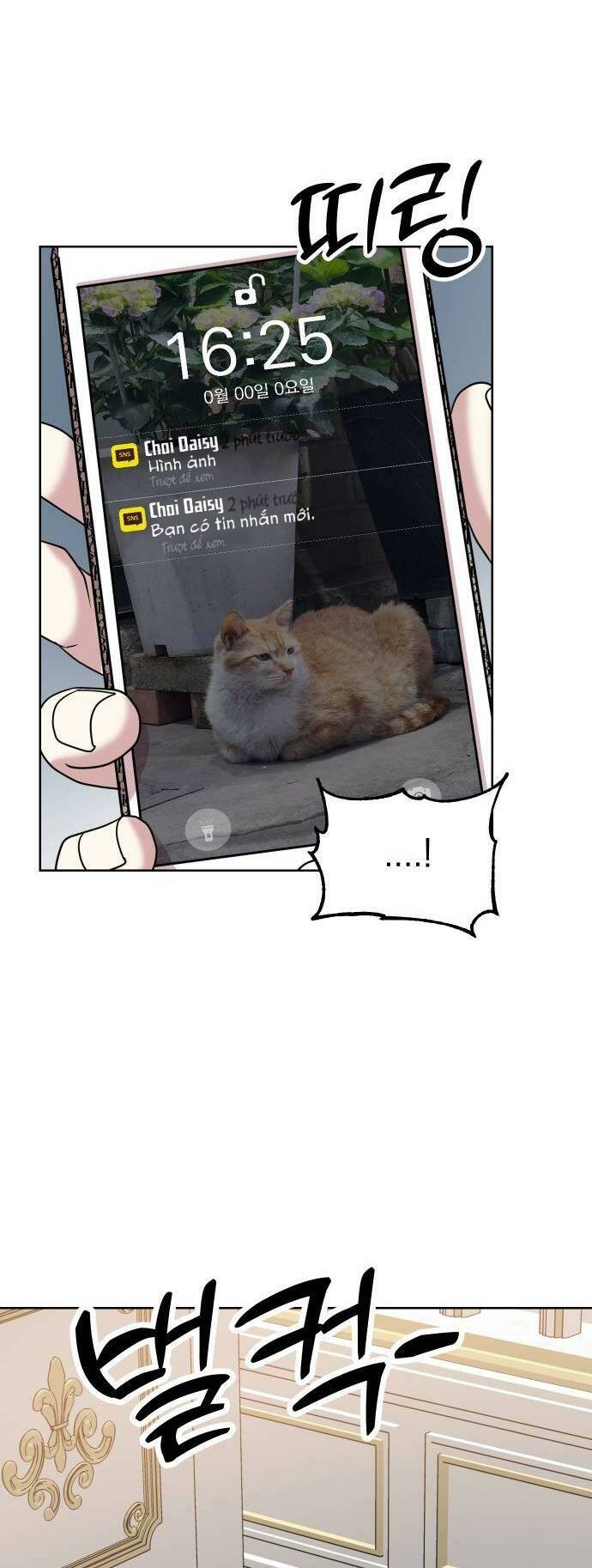 page_55.jpg