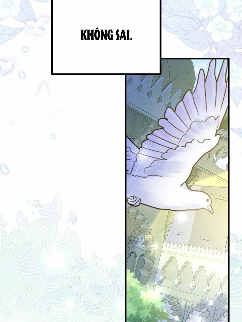 page_24.jpg
