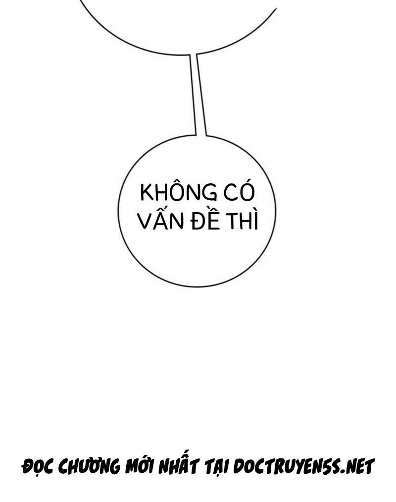 page_19.jpg