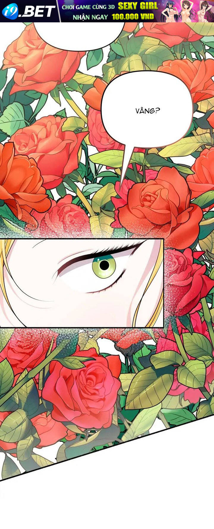 page_20.jpg