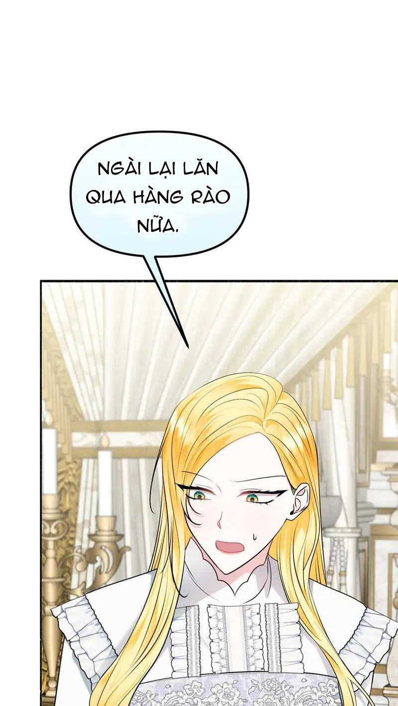 page_25.jpg