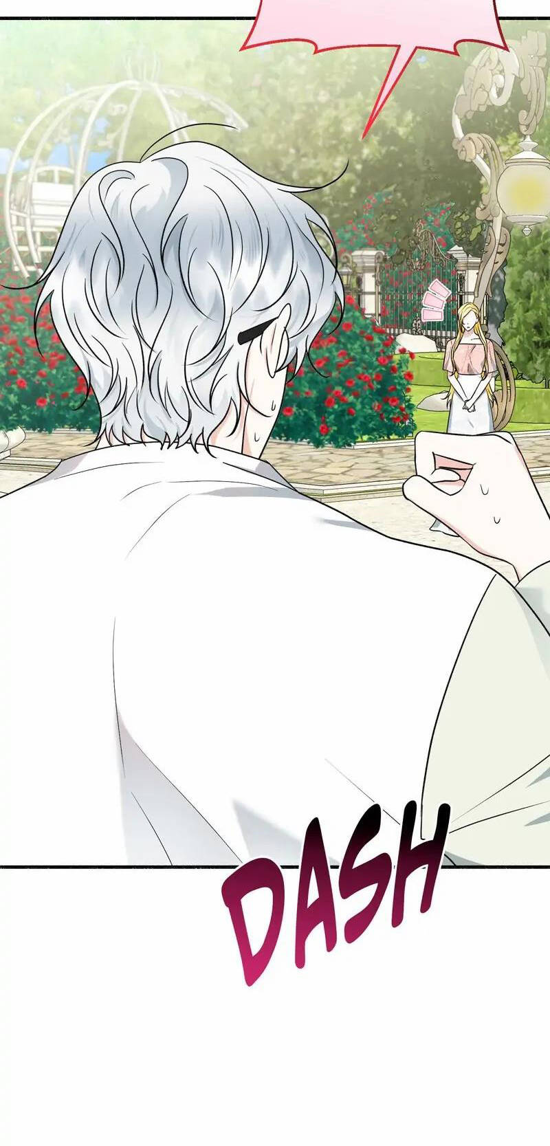 page_17.jpg
