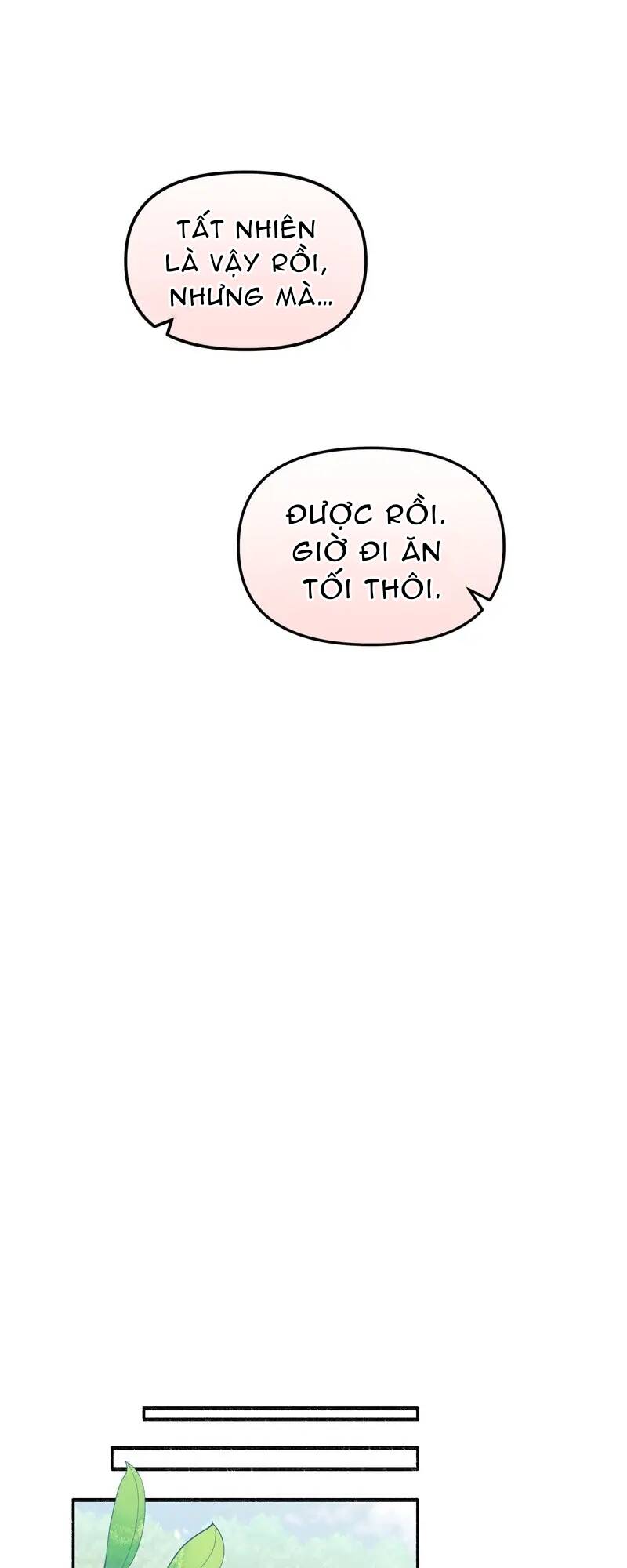 page_29.jpg