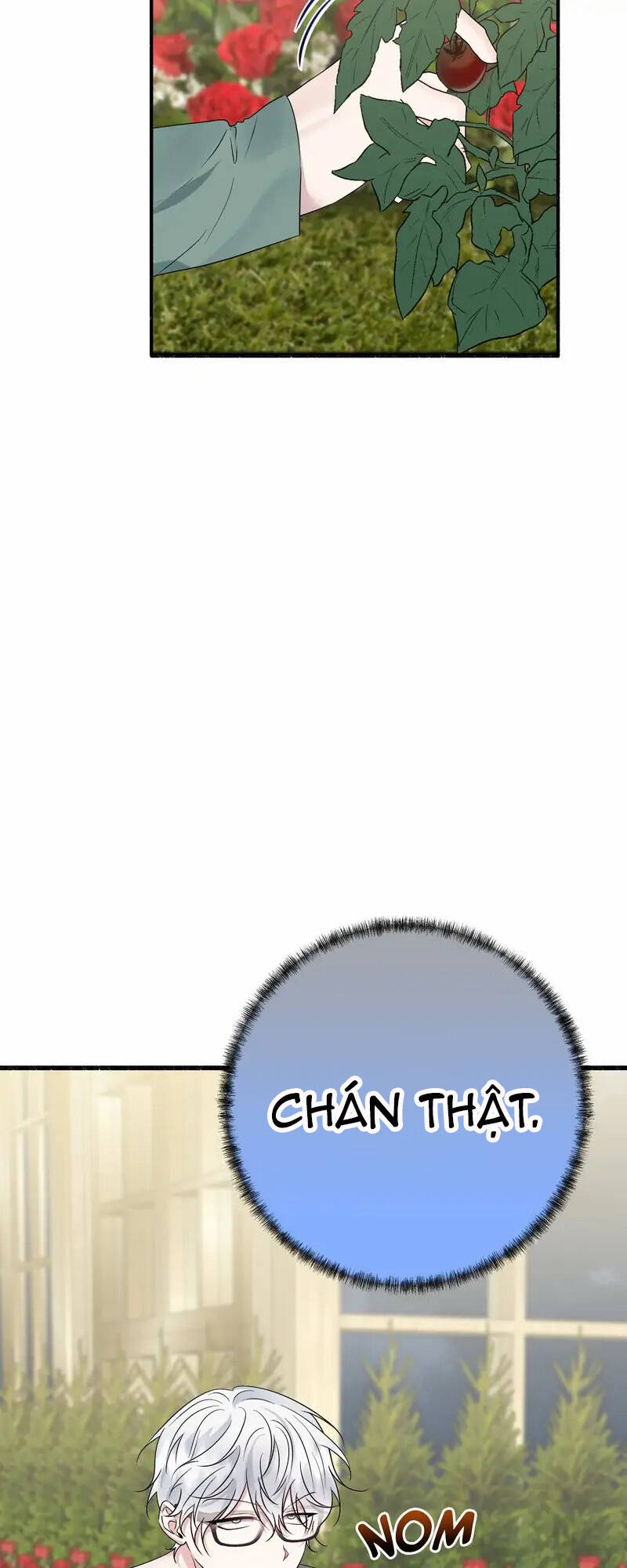 page_13.jpg
