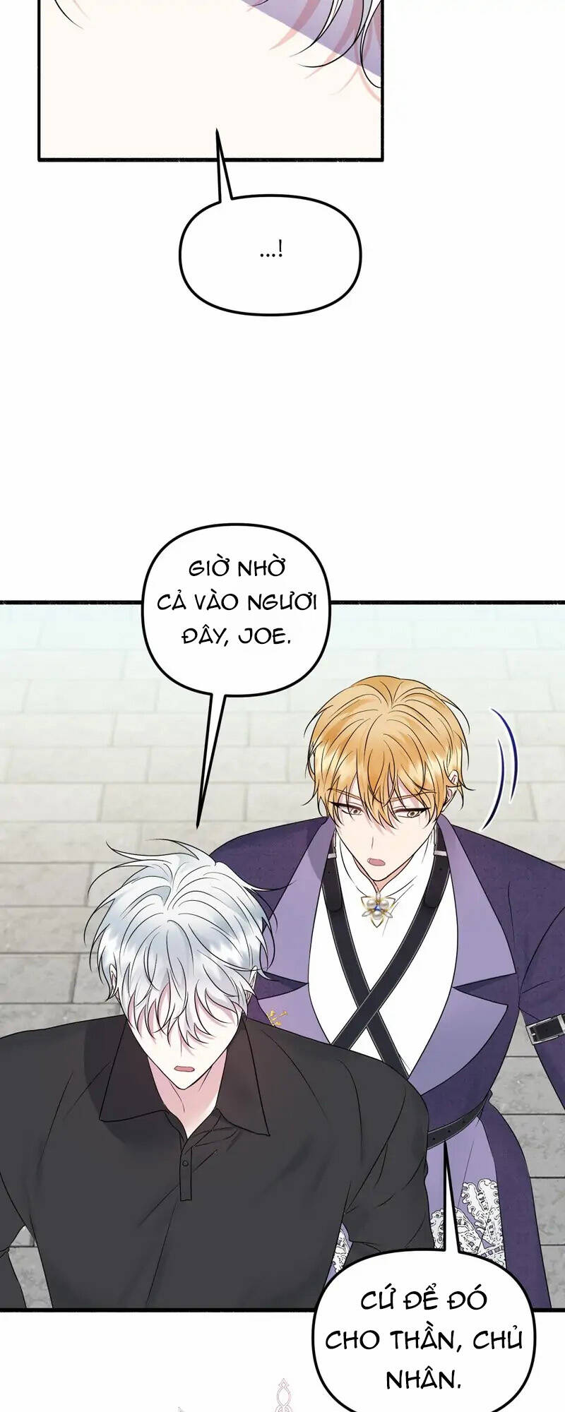 page_20.jpg