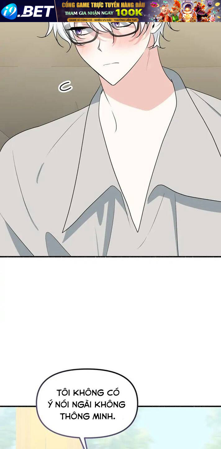 page_28.jpg