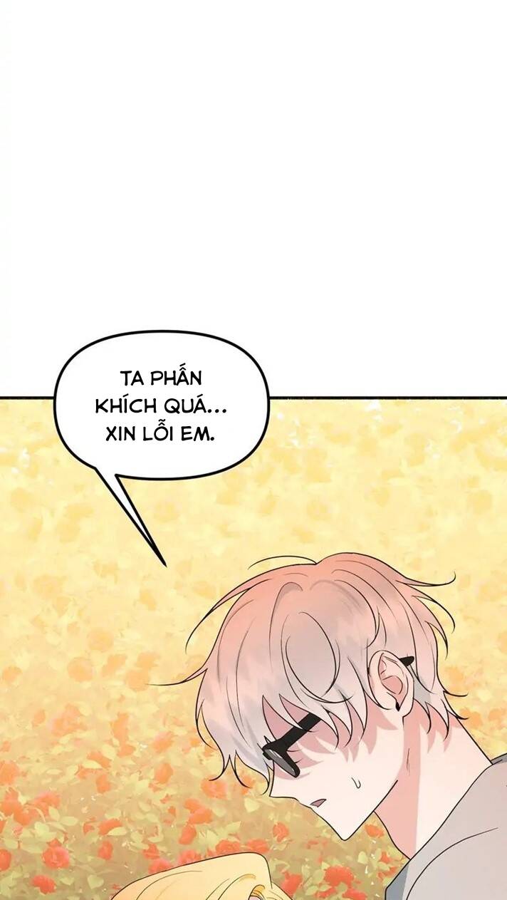 page_32.jpg
