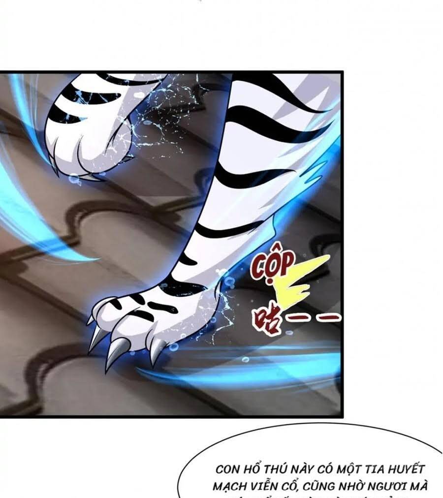 page_17.jpg