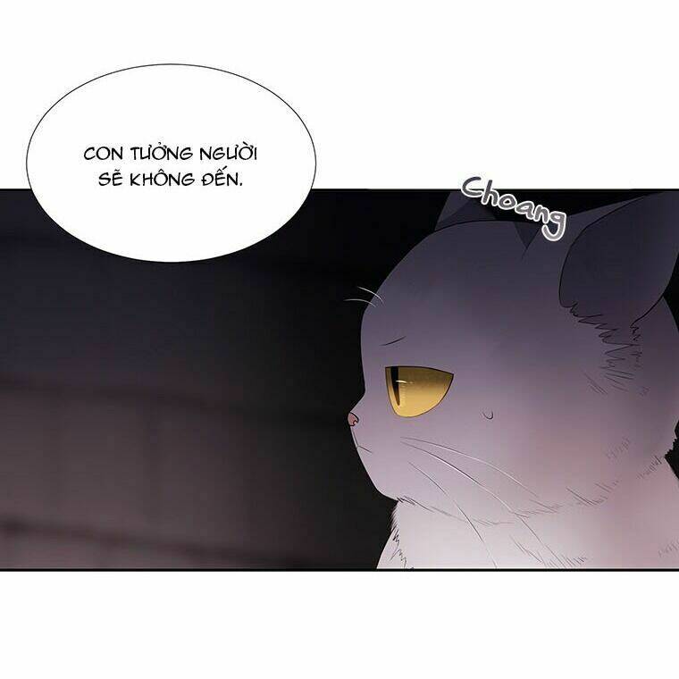 page_64.jpg