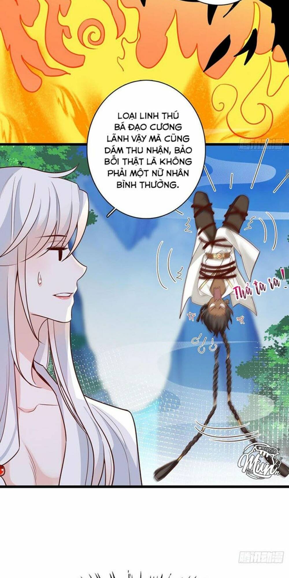 page_22.jpg