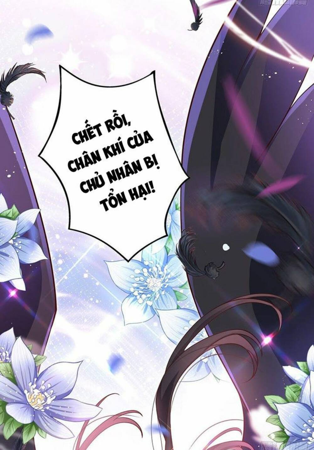 page_6.jpg