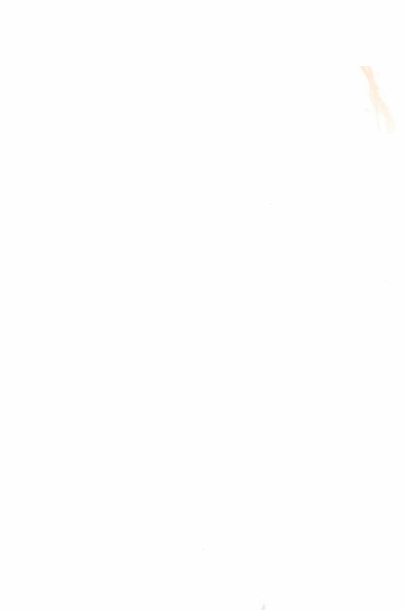 page_30.jpg