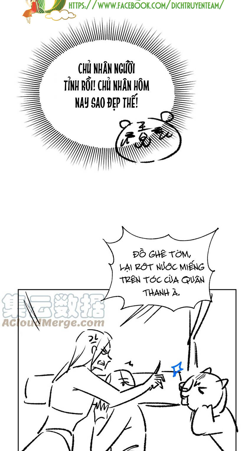 page_35.jpg