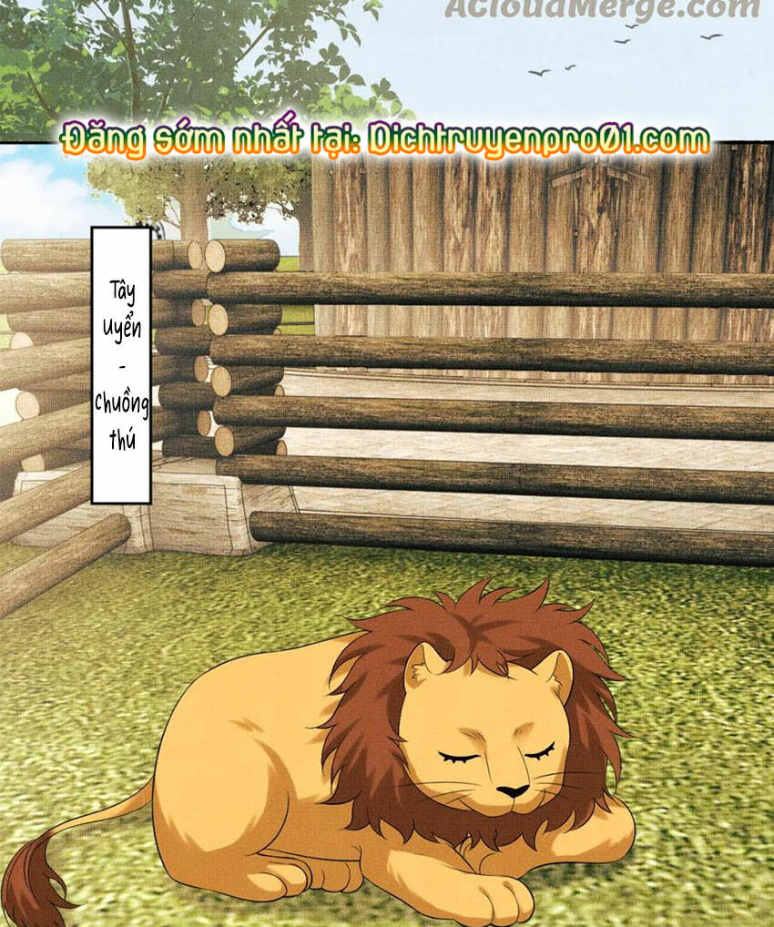 page_21.jpg