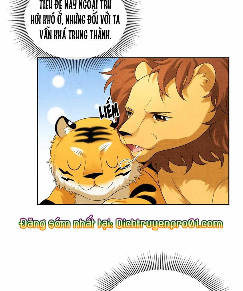 page_25.jpg