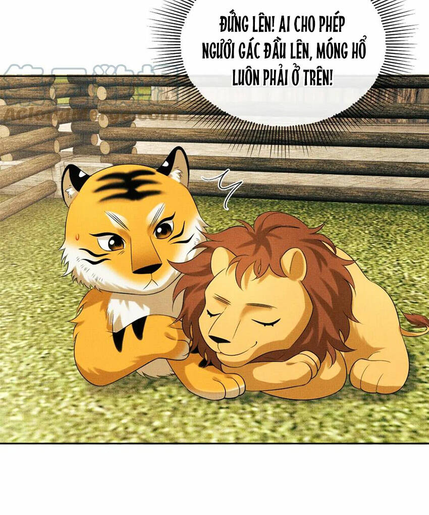 page_26.jpg
