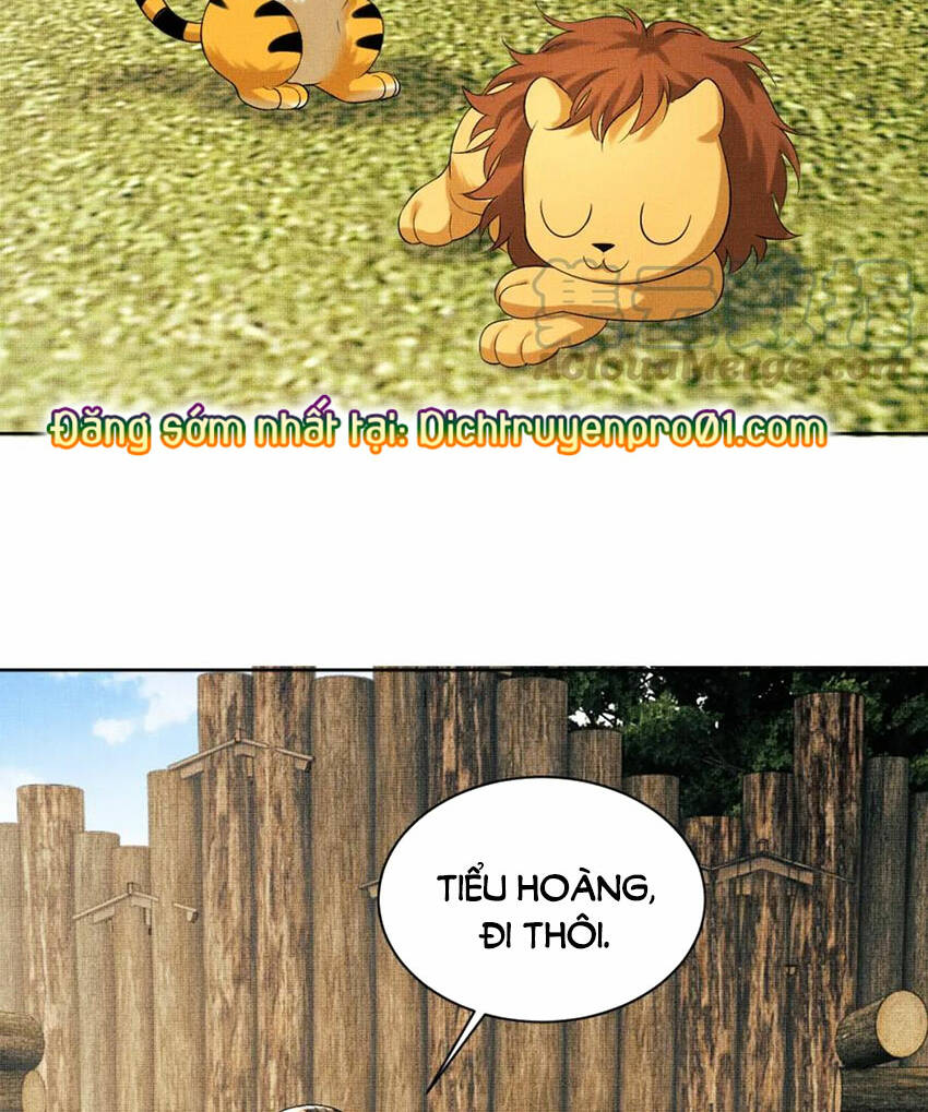 page_29.jpg