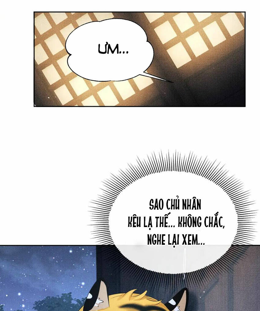 page_64.jpg
