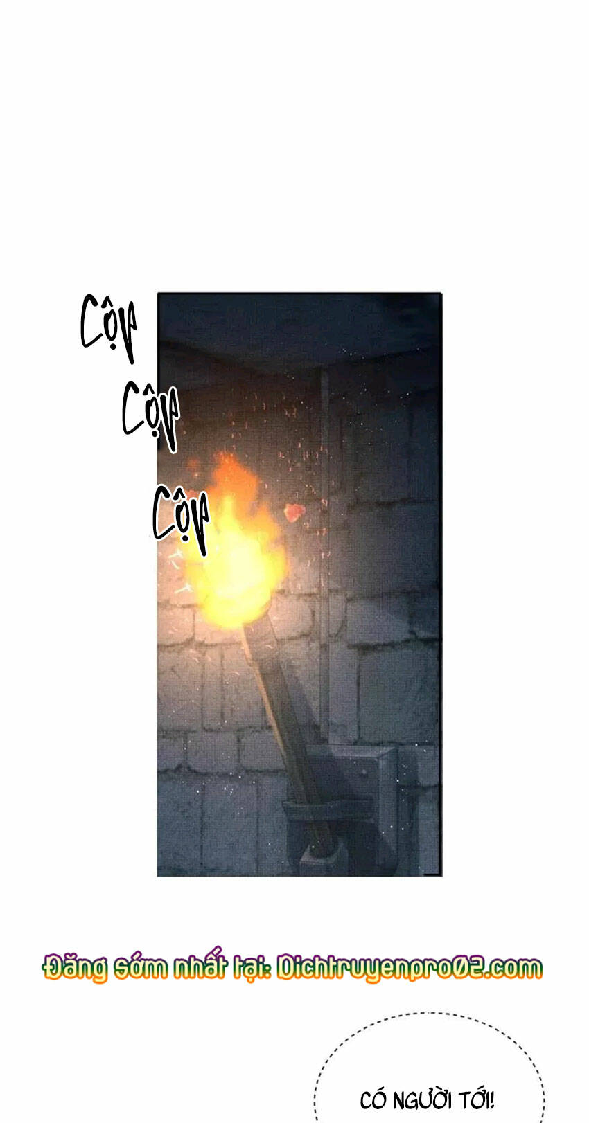page_24.jpg