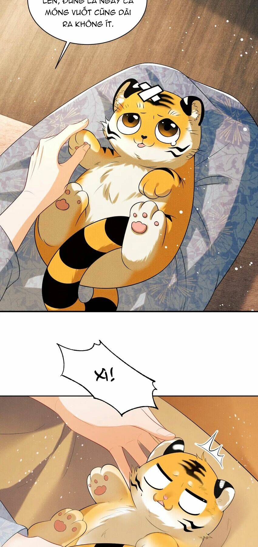 page_9.jpg