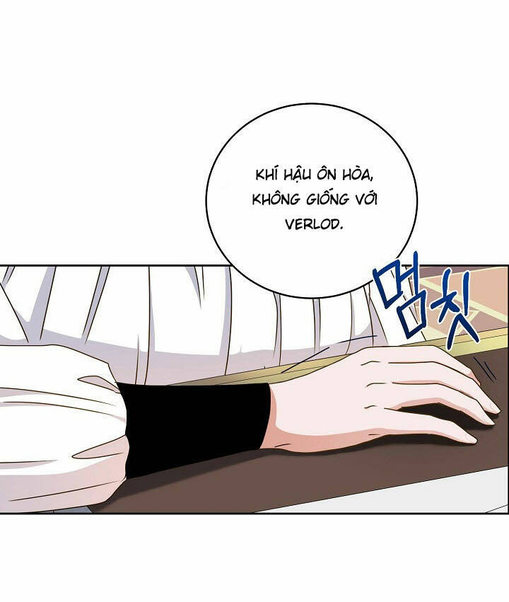page_28.jpg
