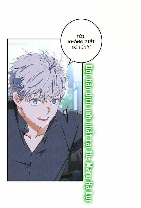 page_19.jpg