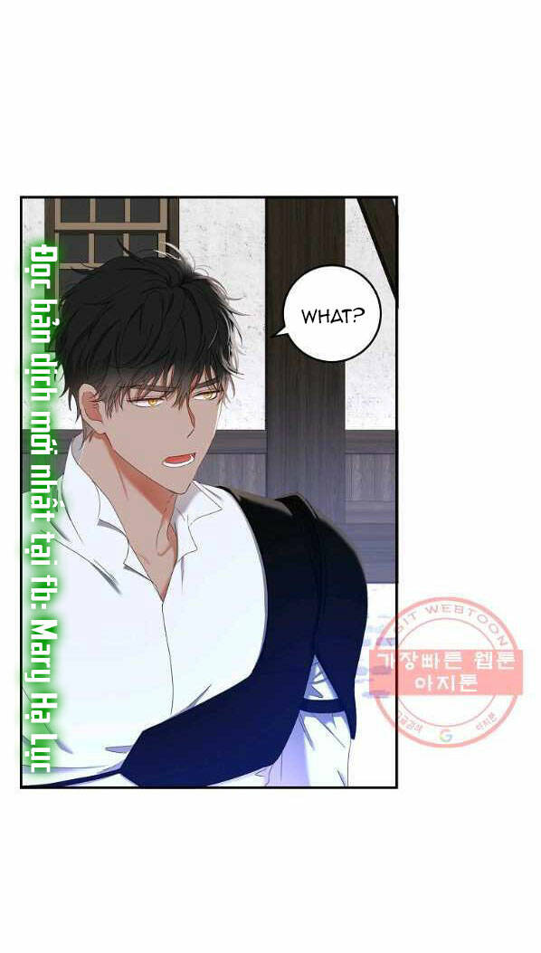 page_21.jpg