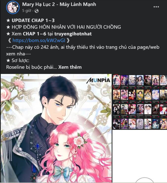 page_21.jpg