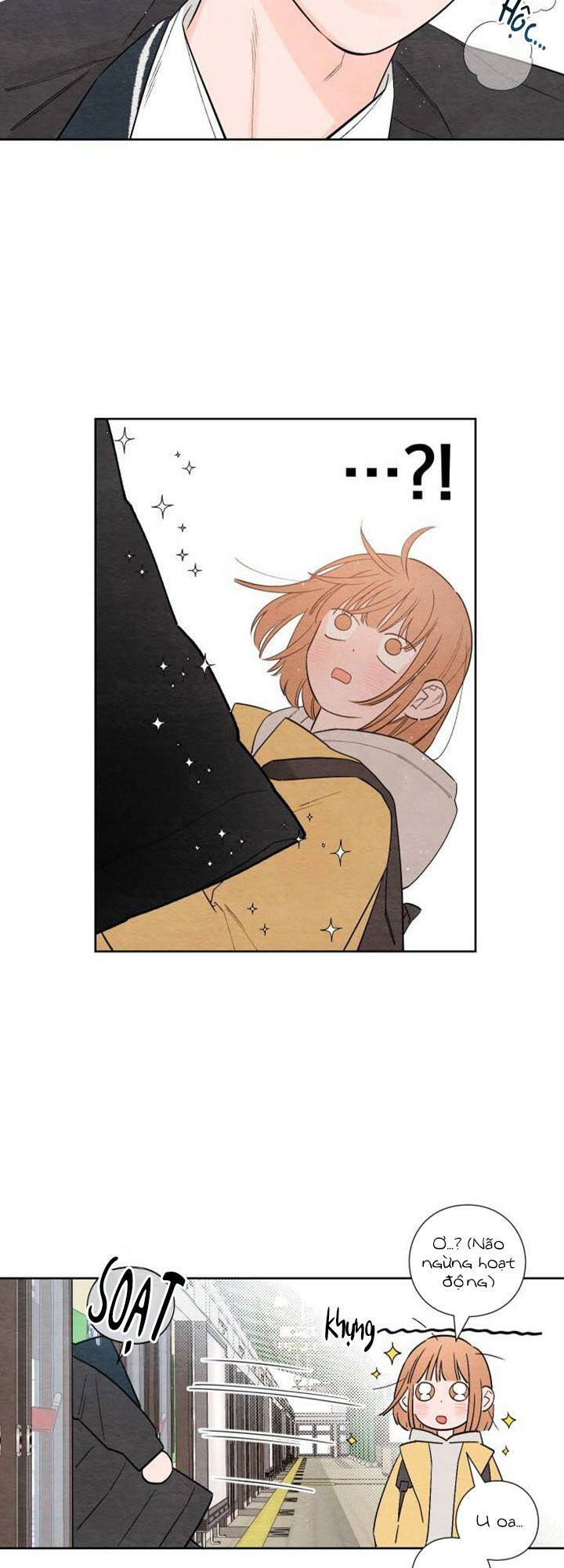 page_24.jpg