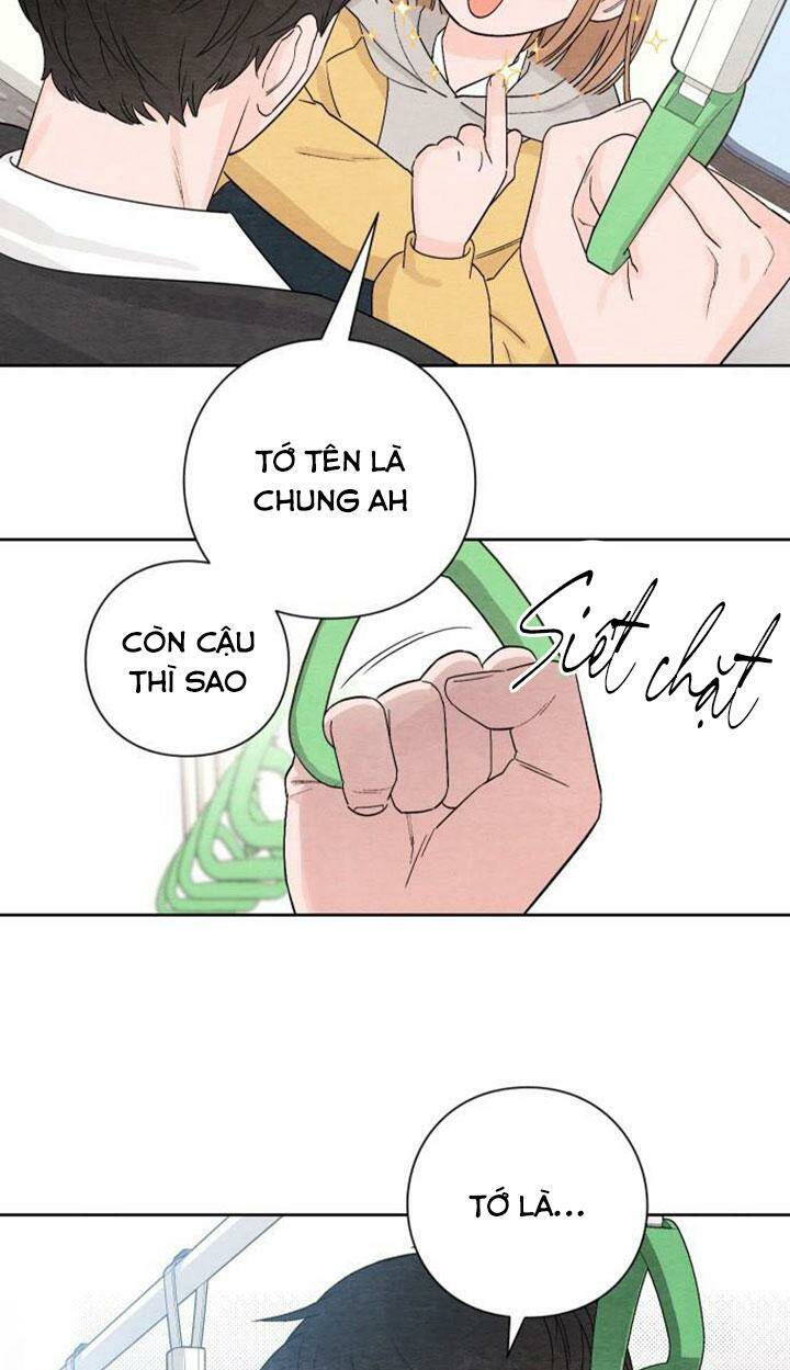 page_37.jpg