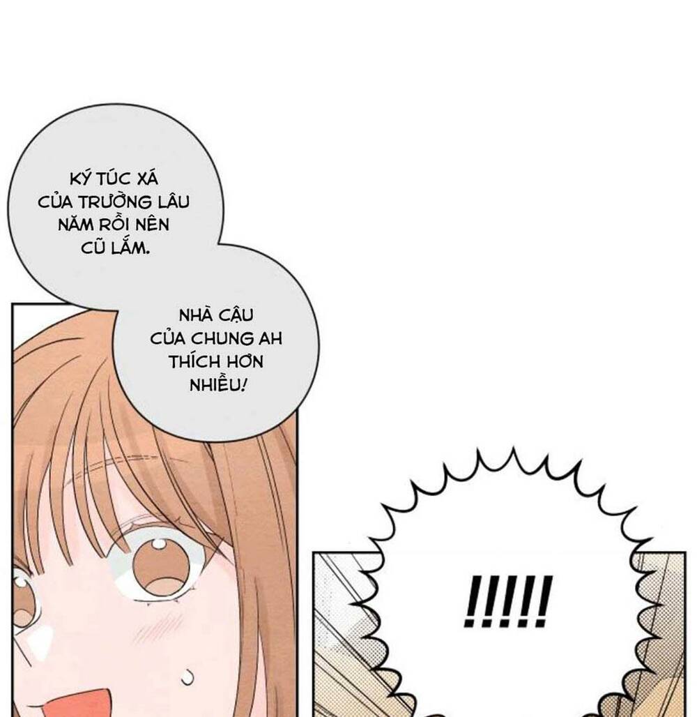 page_24.jpg