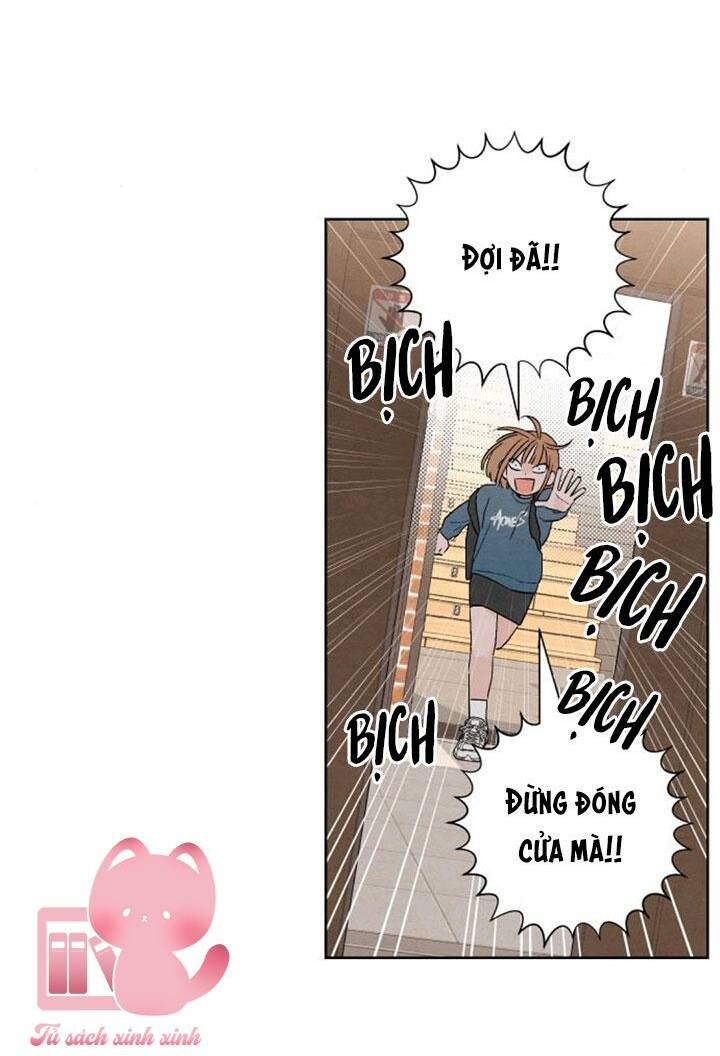 page_19.jpg