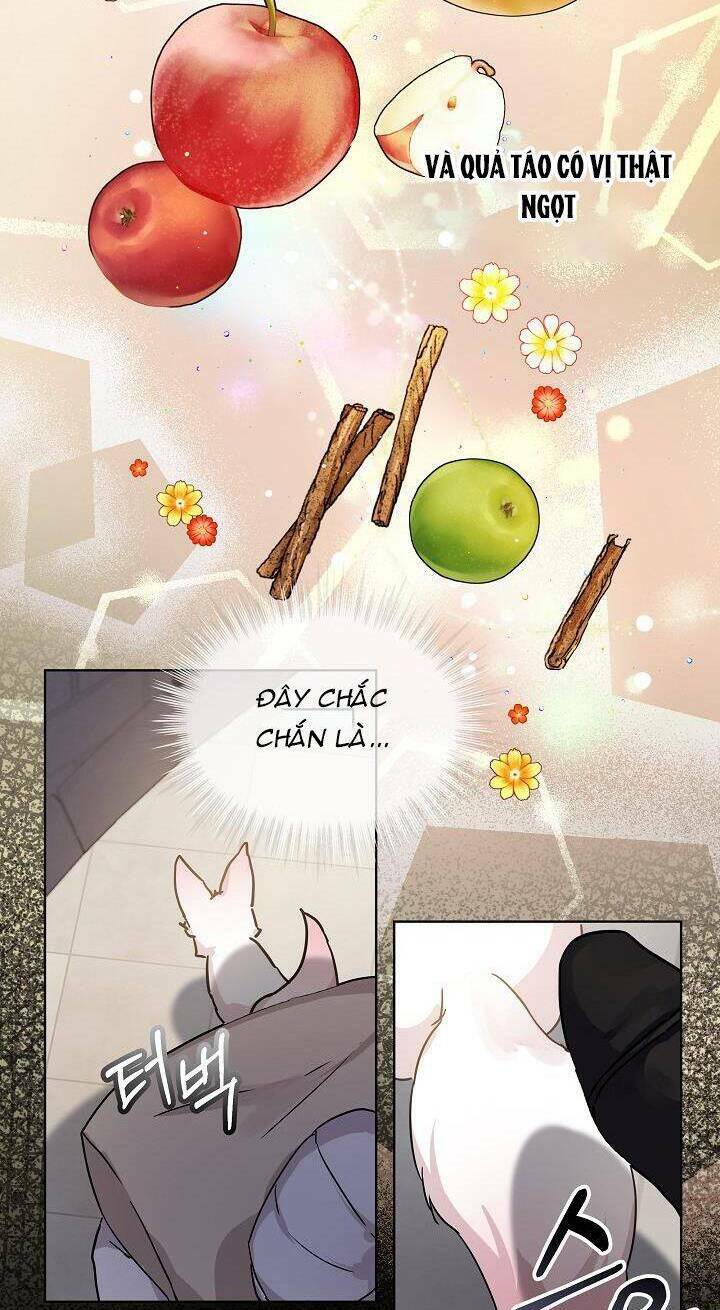 page_13.jpg
