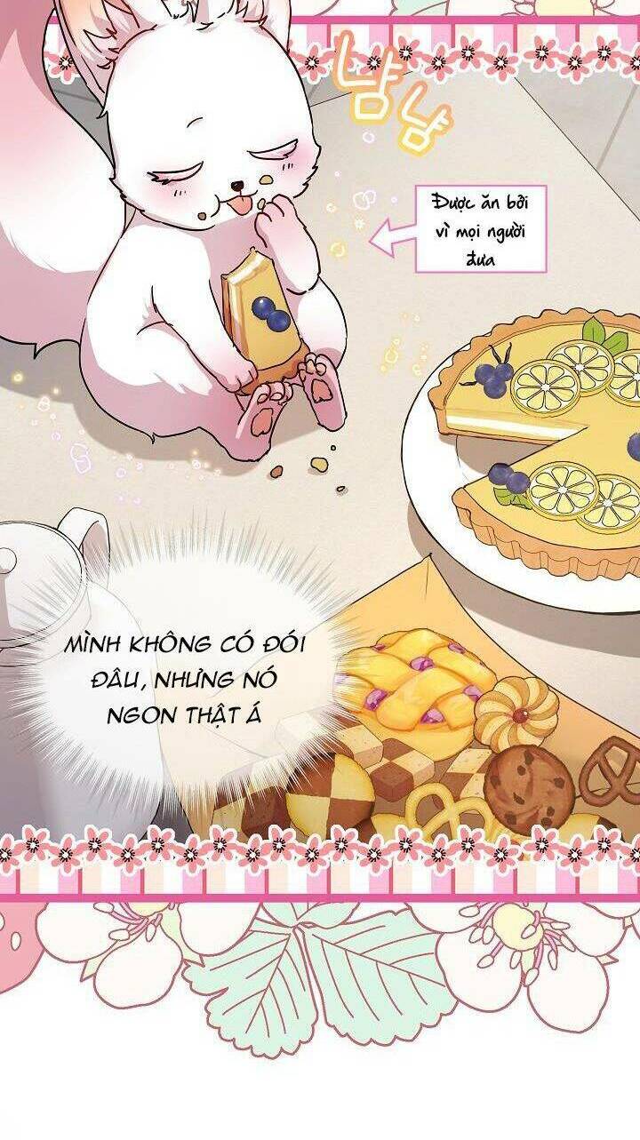 page_20.jpg