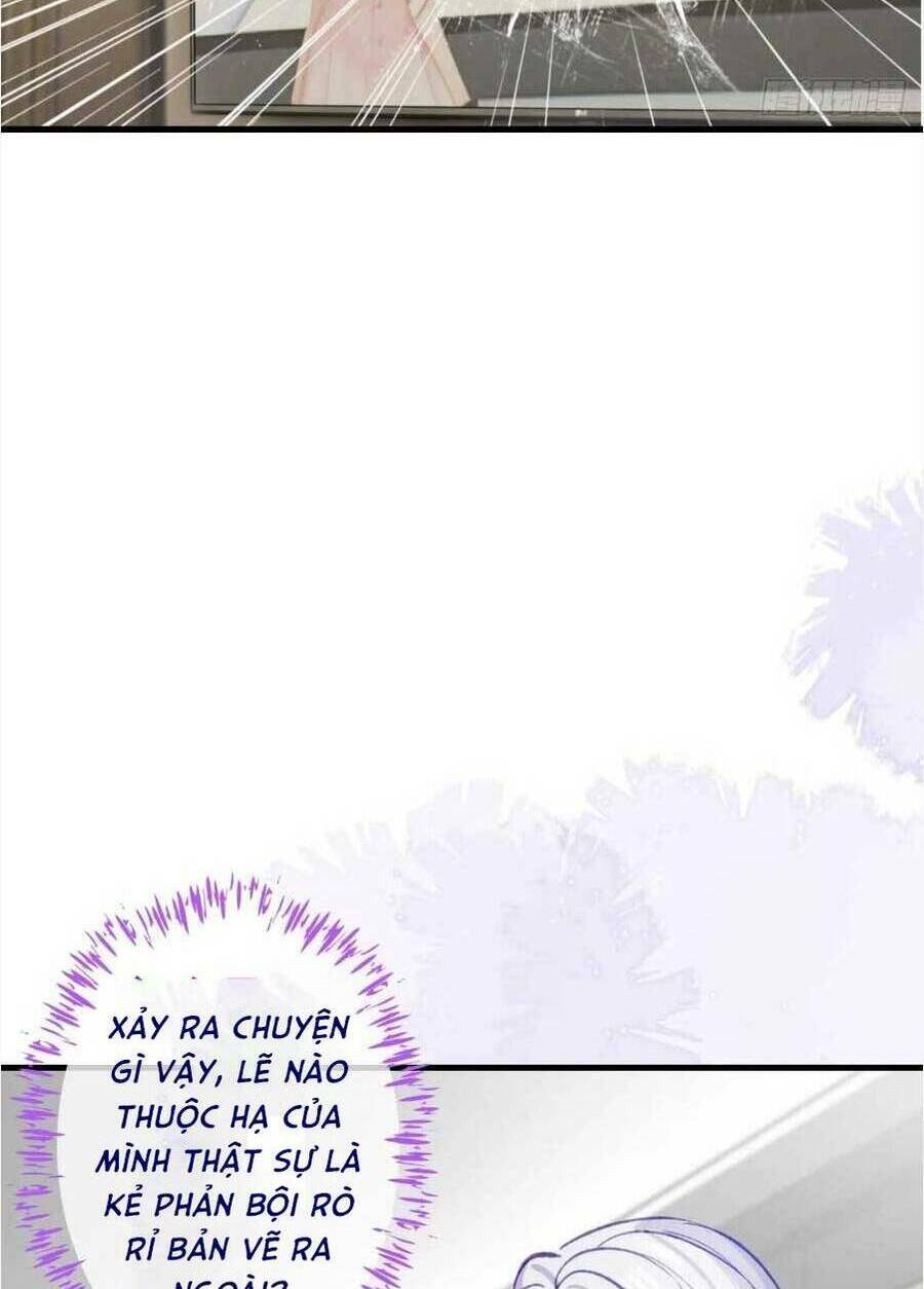 page_20.jpg
