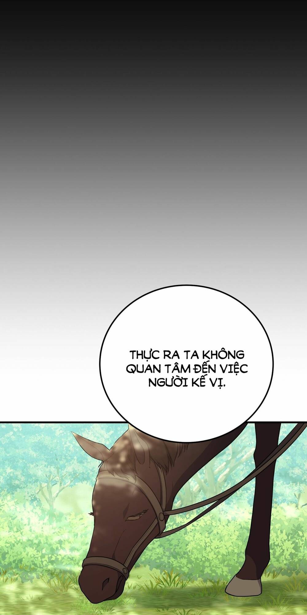 page_24.jpg