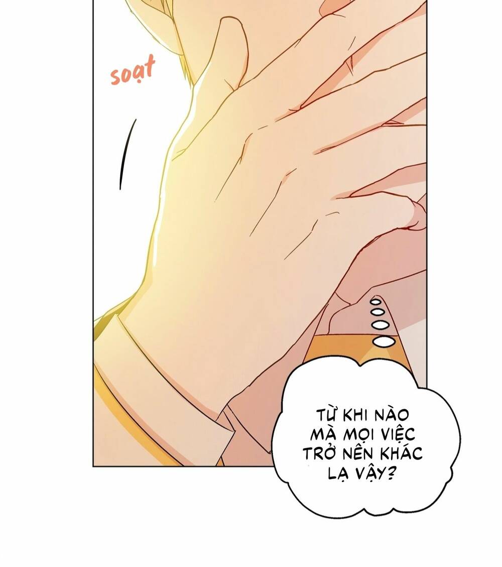 page_15.jpg