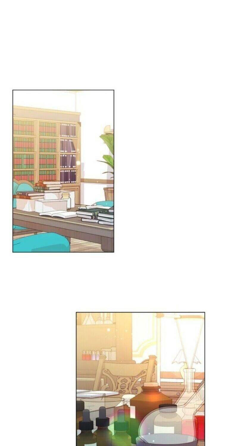 page_29.jpg
