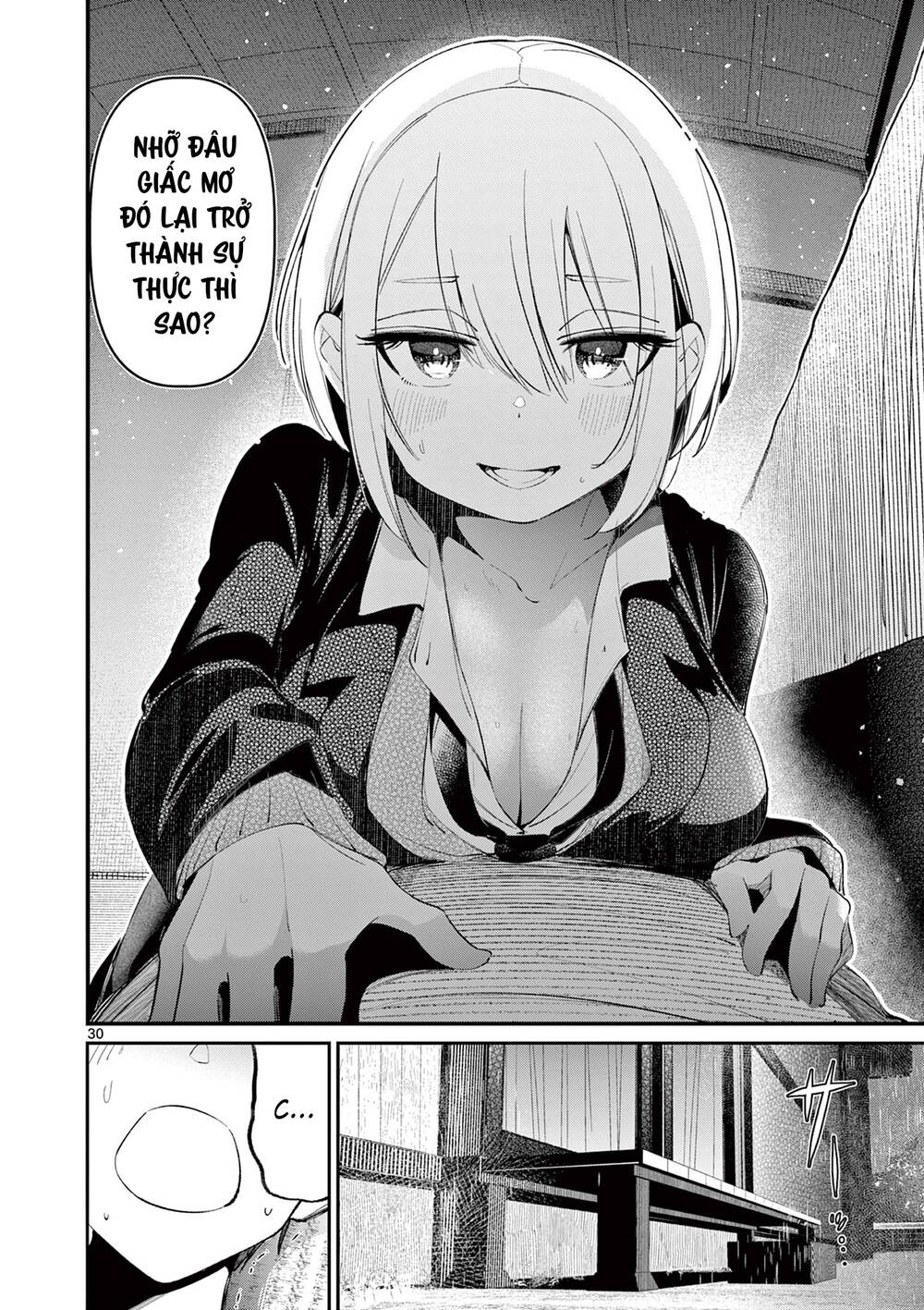 page_29.jpg