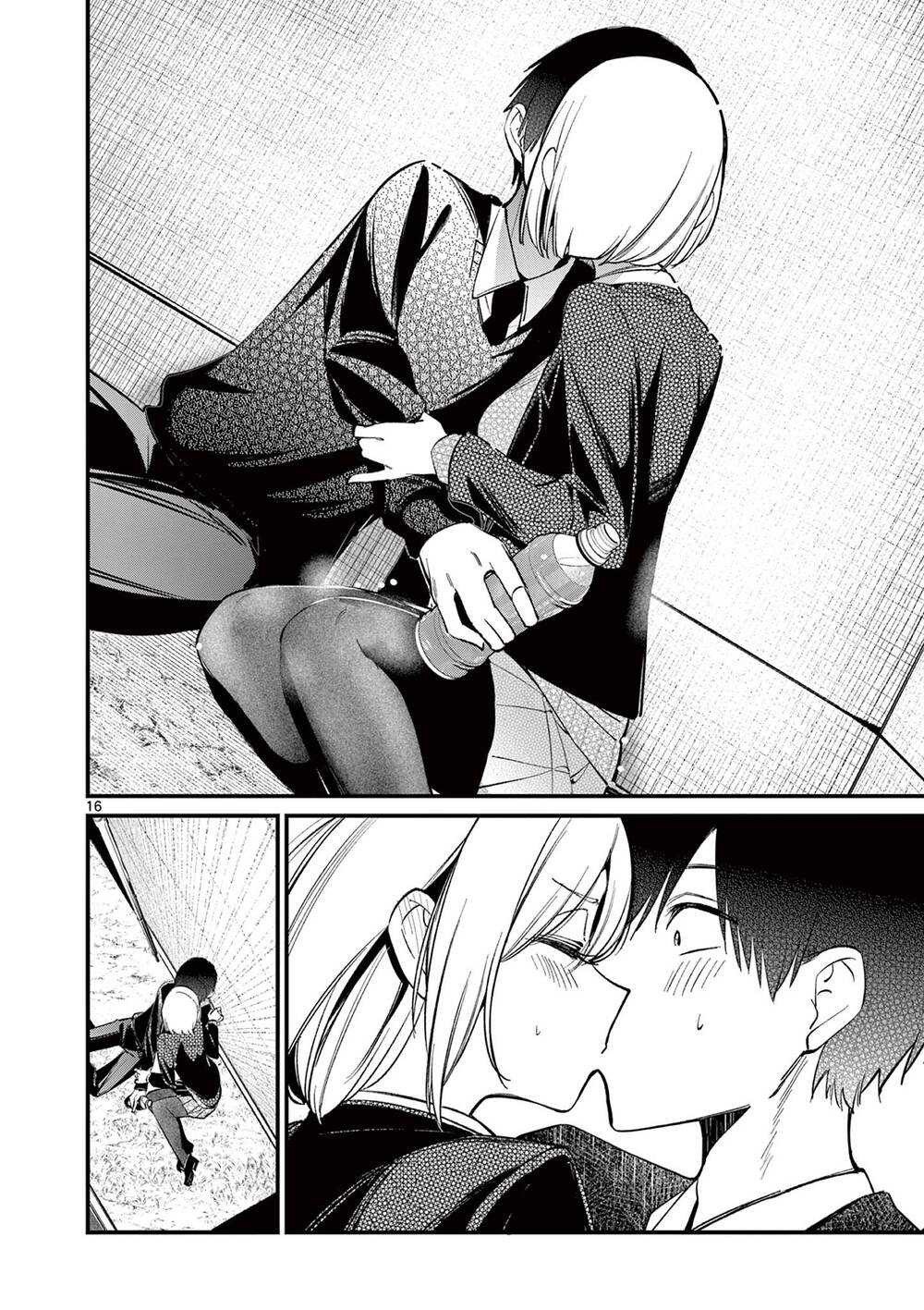 page_16.jpg