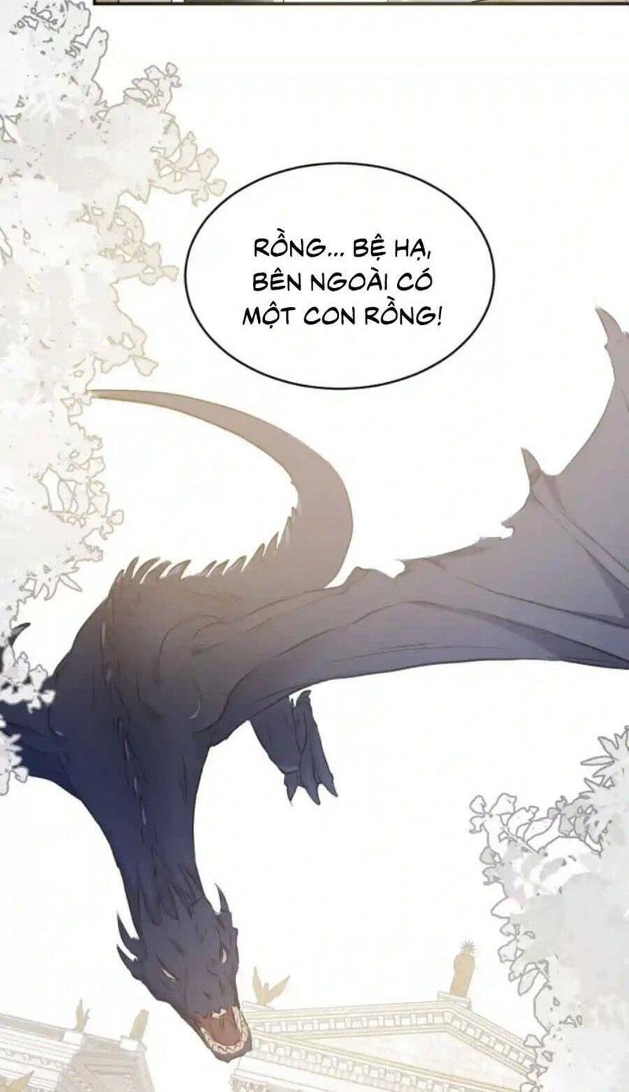 page_21.jpg