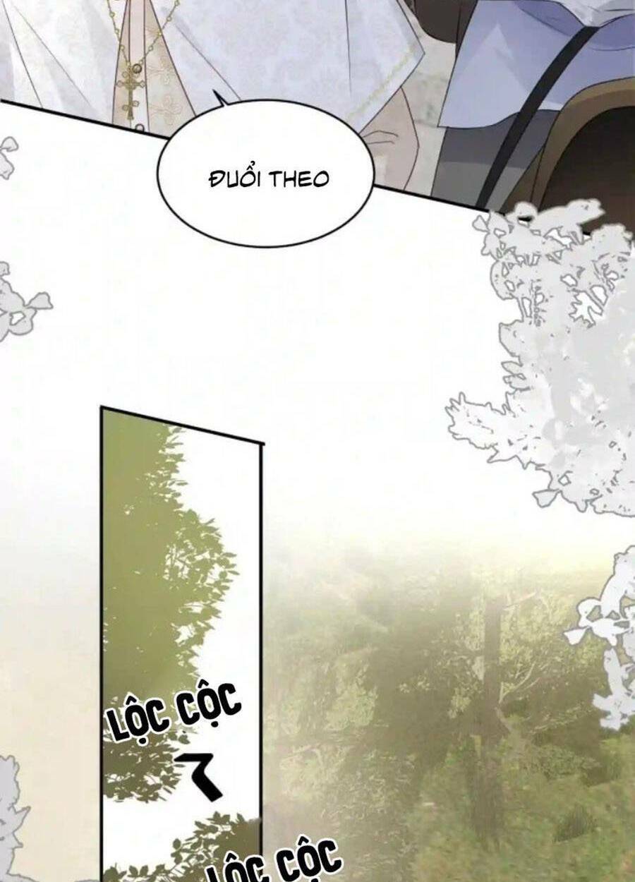 page_23.jpg