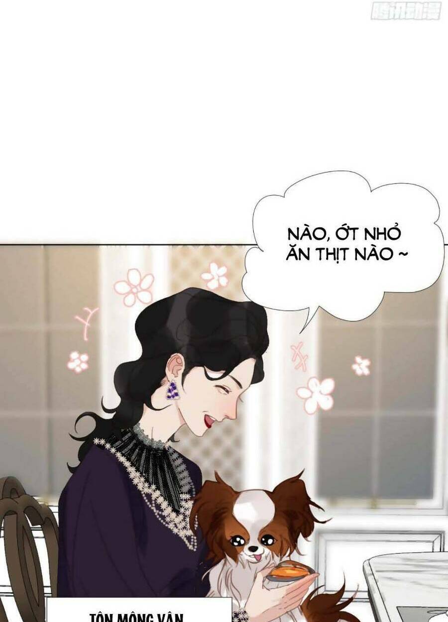 page_31.jpg