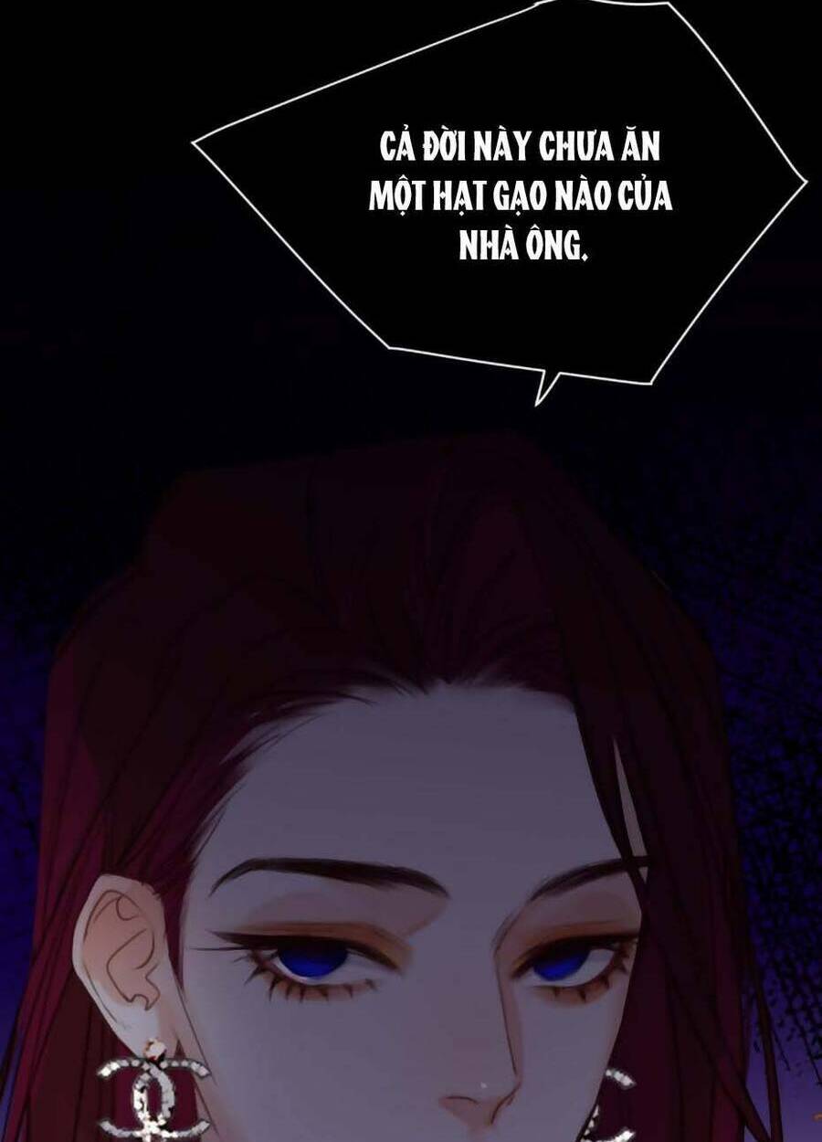page_51.jpg