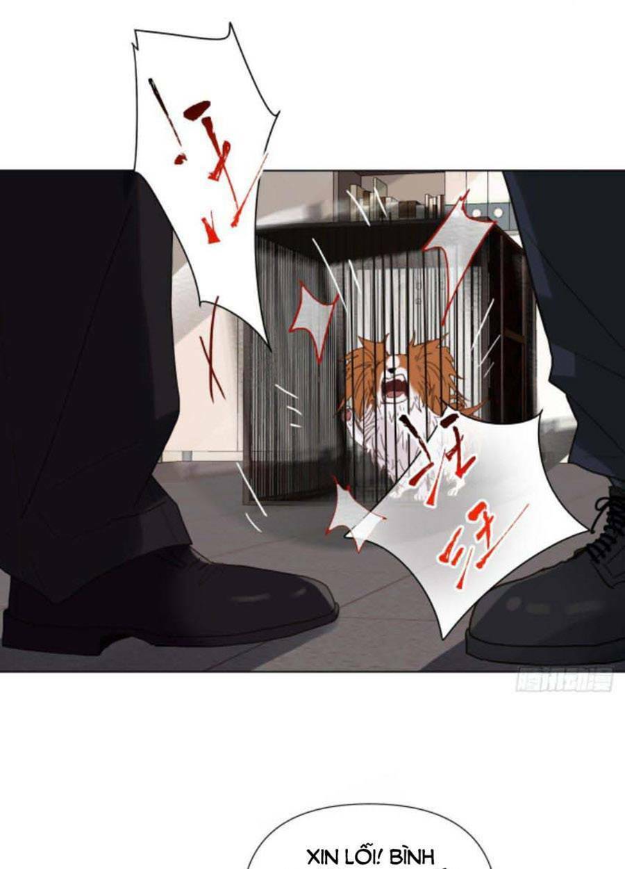 page_17.jpg