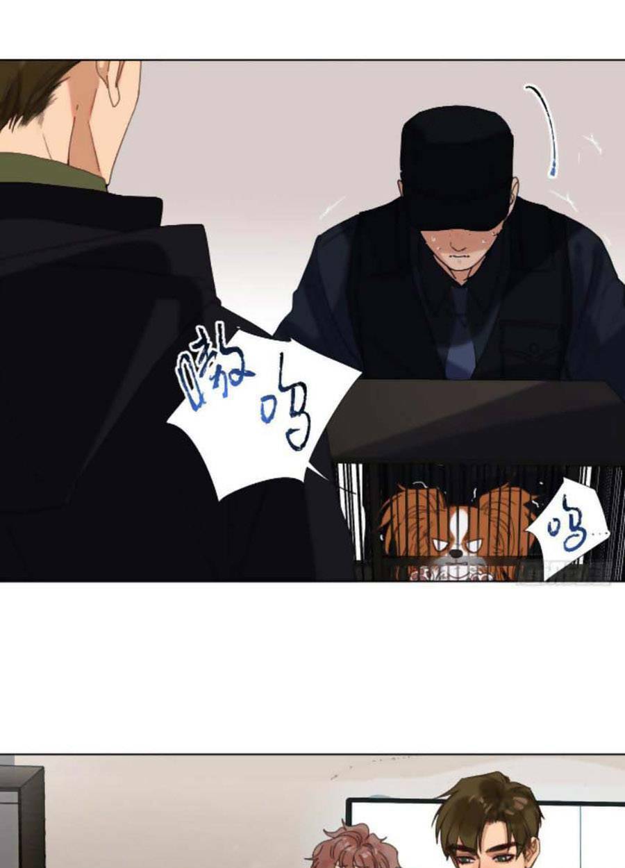 page_20.jpg