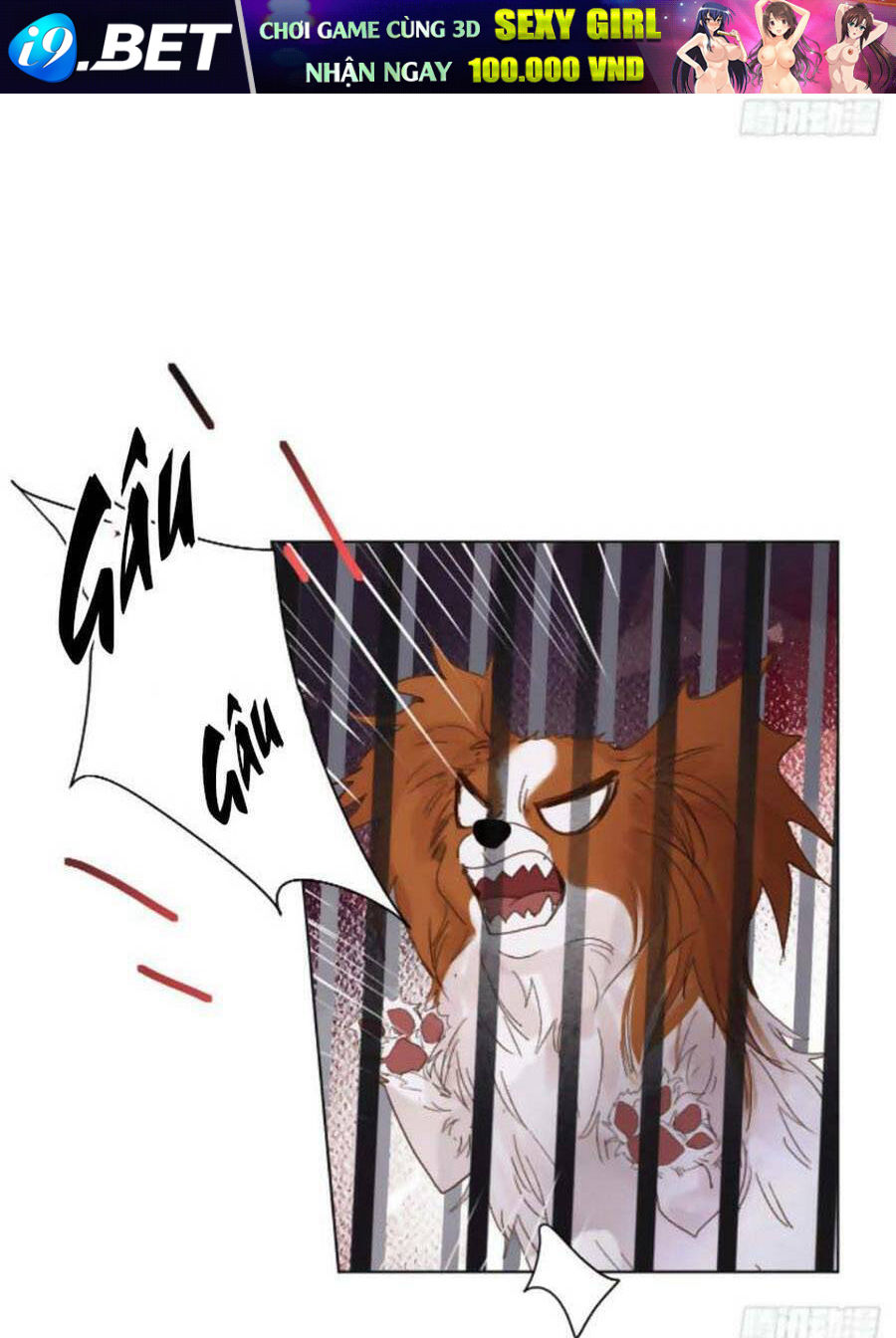 page_7.jpg